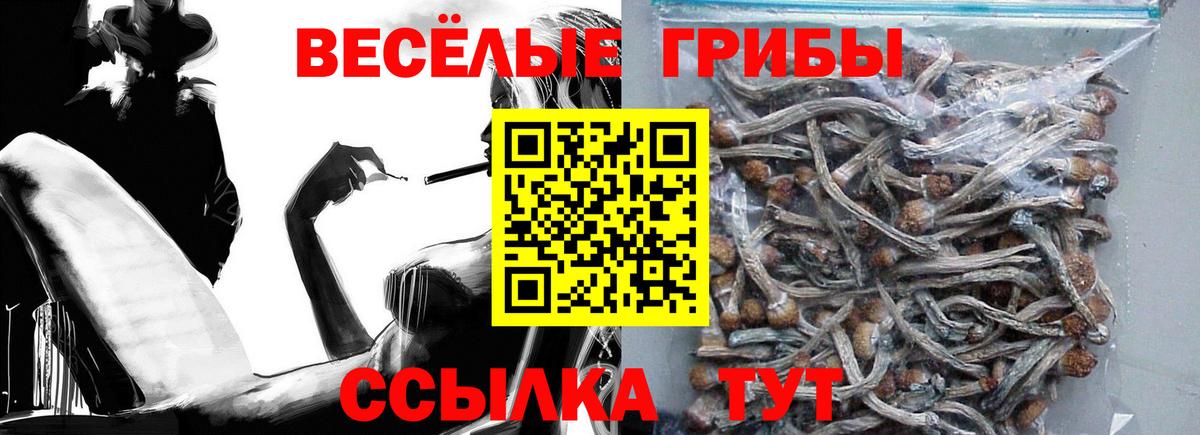 Галлюциногенные грибы мухоморы Нововоронеж